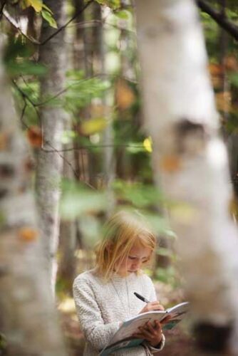 writing-in-forest
